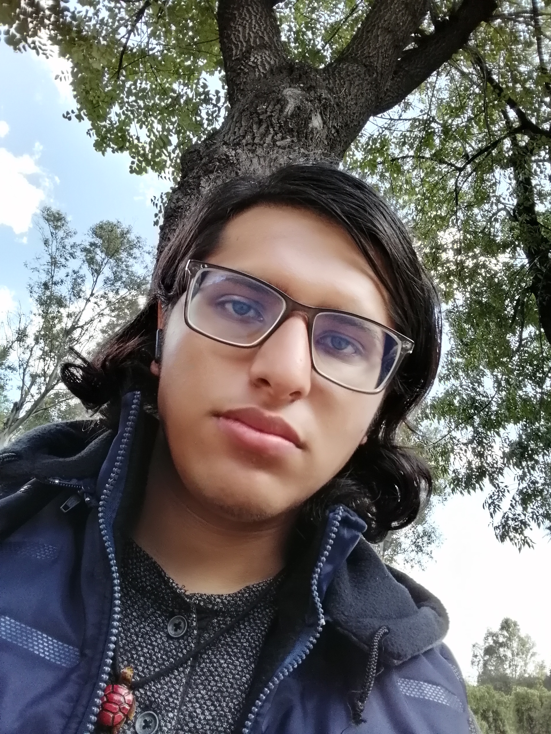 Yo - Desarrollador